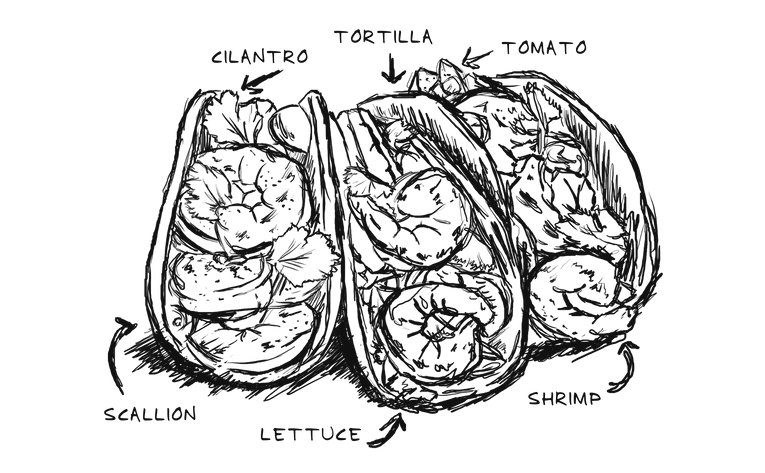 Rougher food illustration with loose hatching and dark brush lines